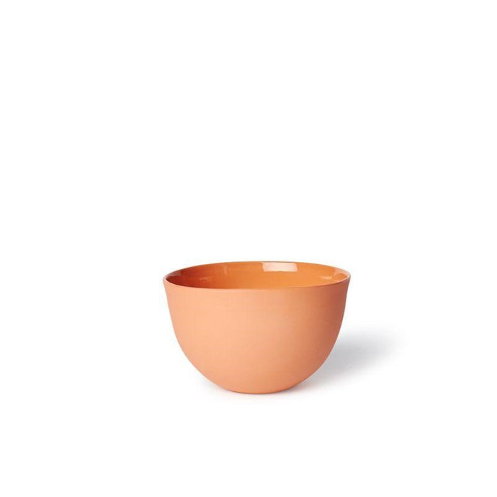Noodle Bowl Small
