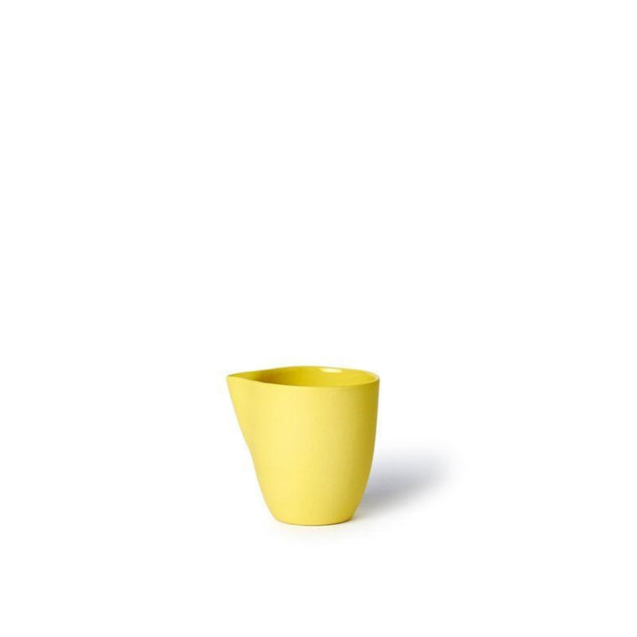 Jug Small