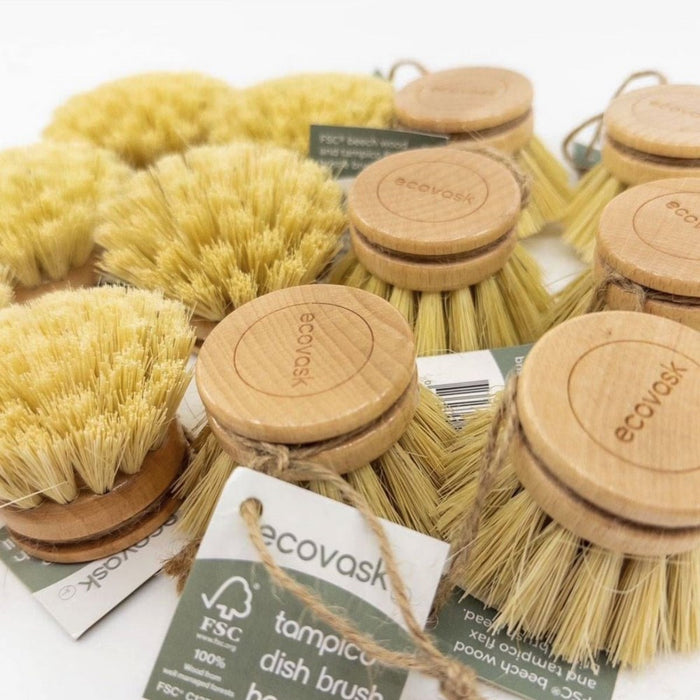 Ecovask Dish Brush Refill - Tampico Brush Head