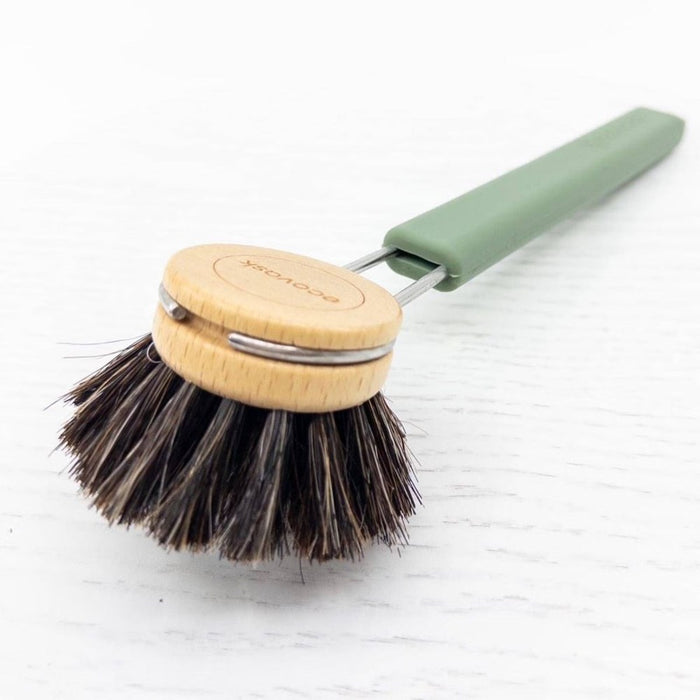 Ecovask Dish Brush with Horse Hair Brush Head - 3 Colours